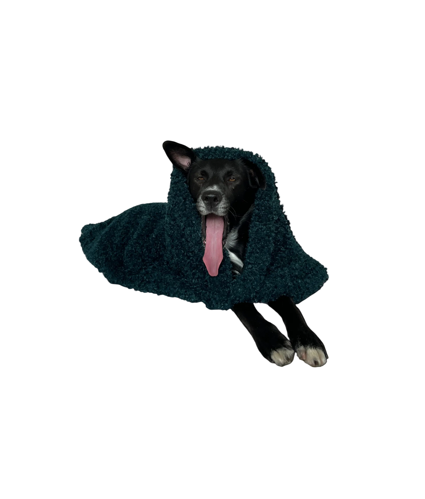 Soft Izzydogg dog blanket in dark petrol recycled faux fur, double-sided with black velvet peach skin fabric.