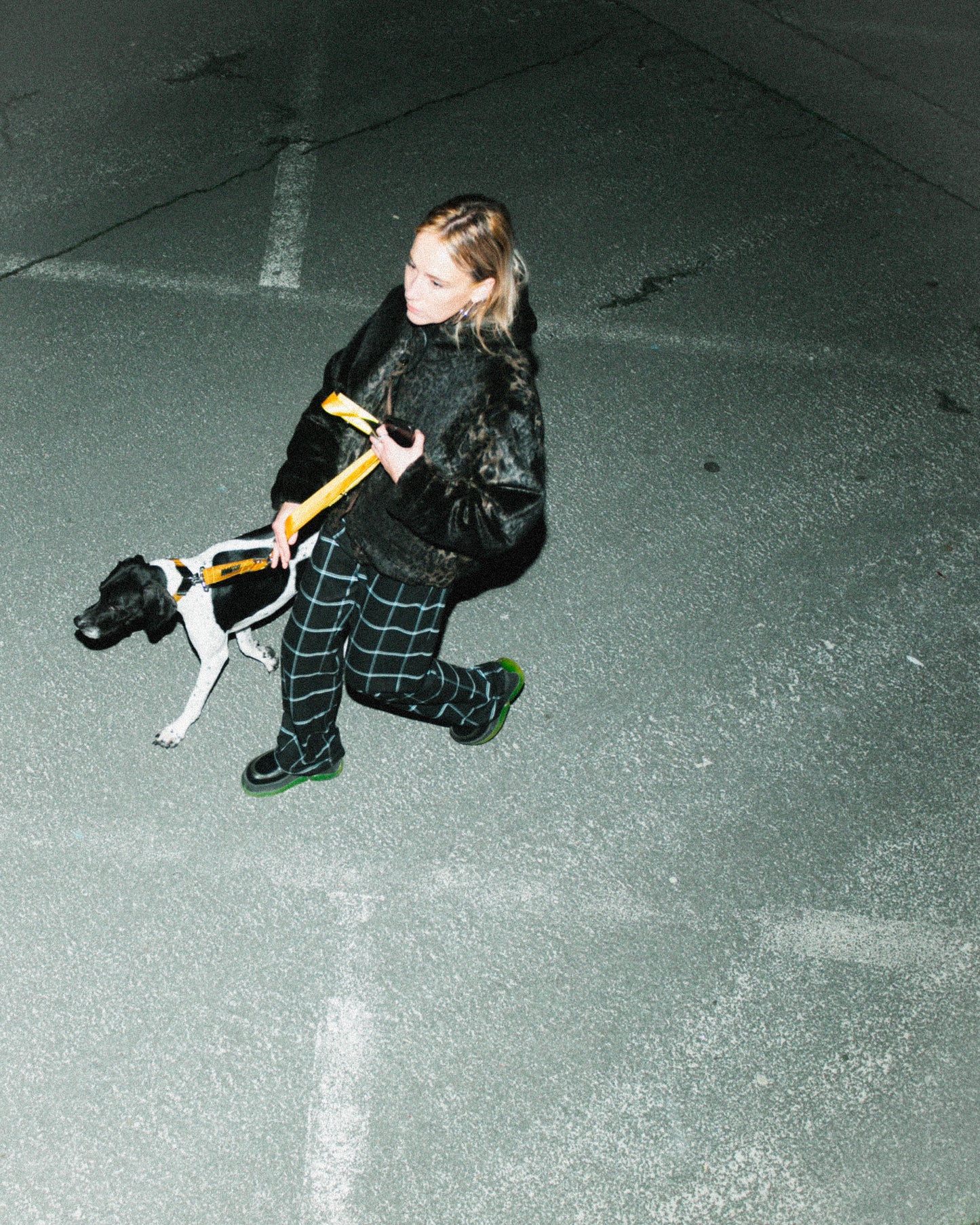 IZZYDOGG COLLAR LEASH YELLOW BLACK