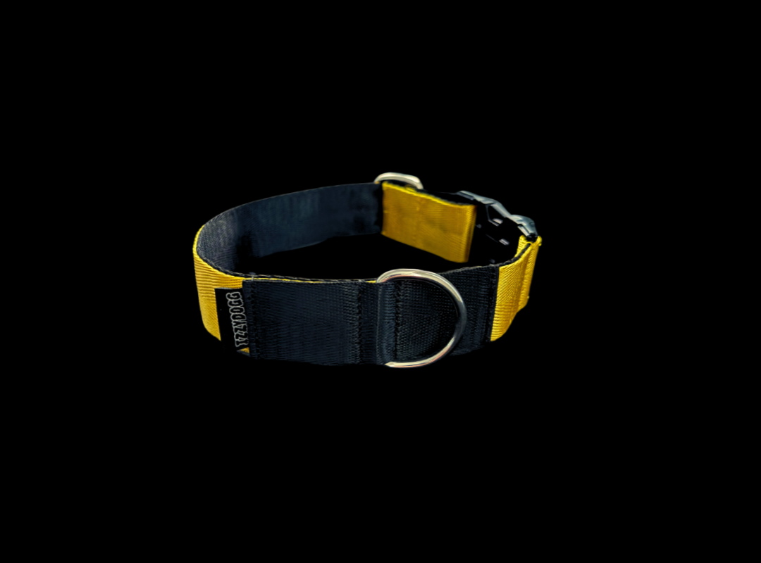 IZZYDOGG COLLAR YELLOW BLACK