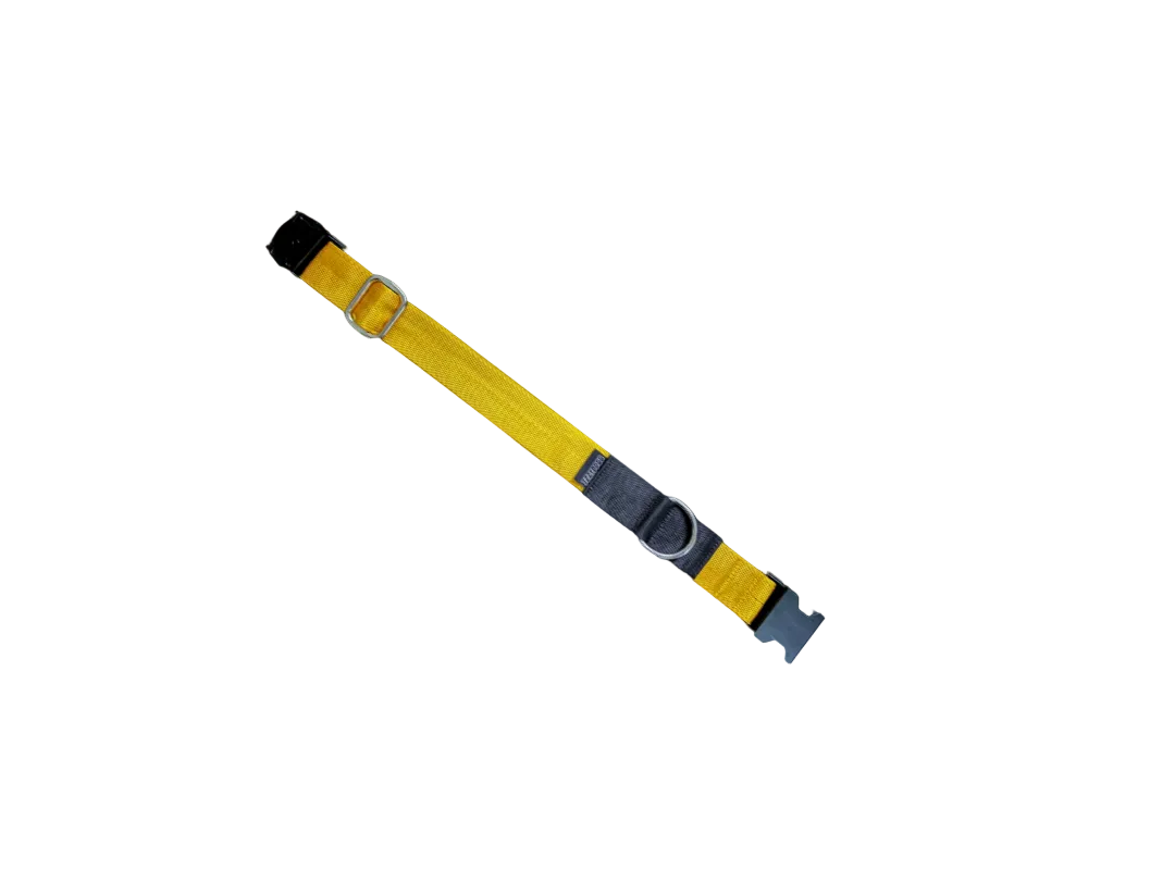 IZZYDOGG COLLAR YELLOW BLACK