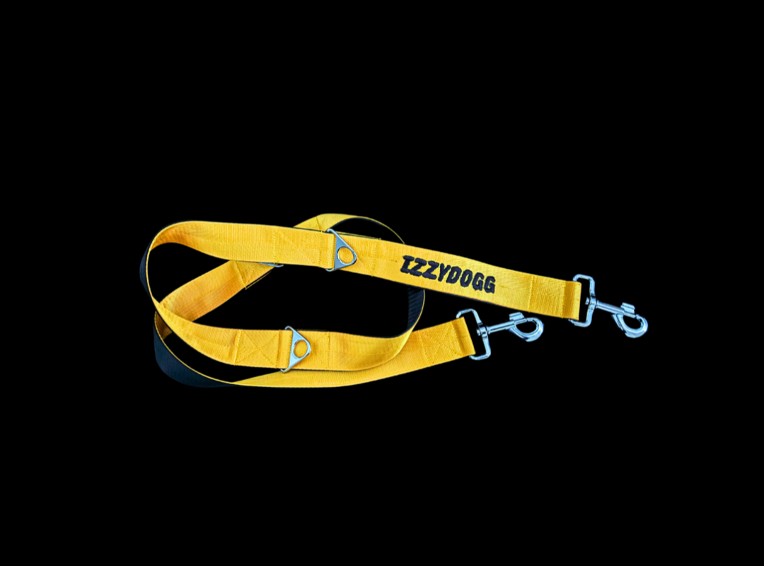 IZZYDOGG LEASH YELLOW BLACK
