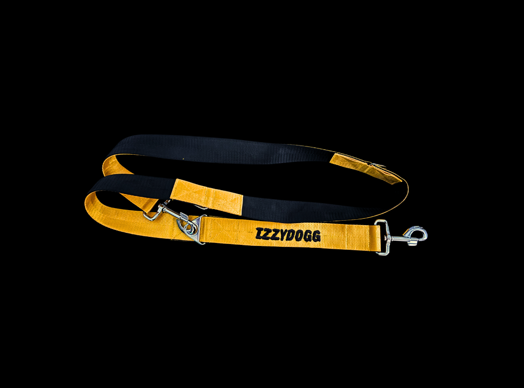 IZZYDOGG LEASH YELLOW BLACK