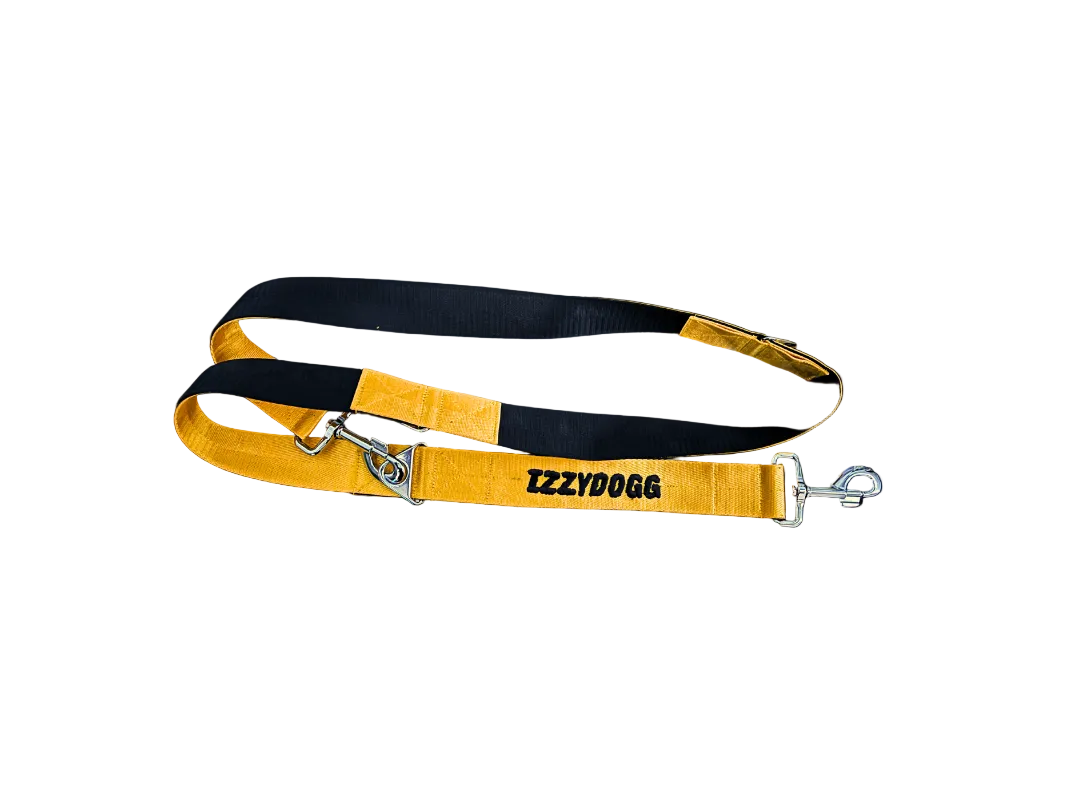 IZZYDOGG LEASH YELLOW BLACK