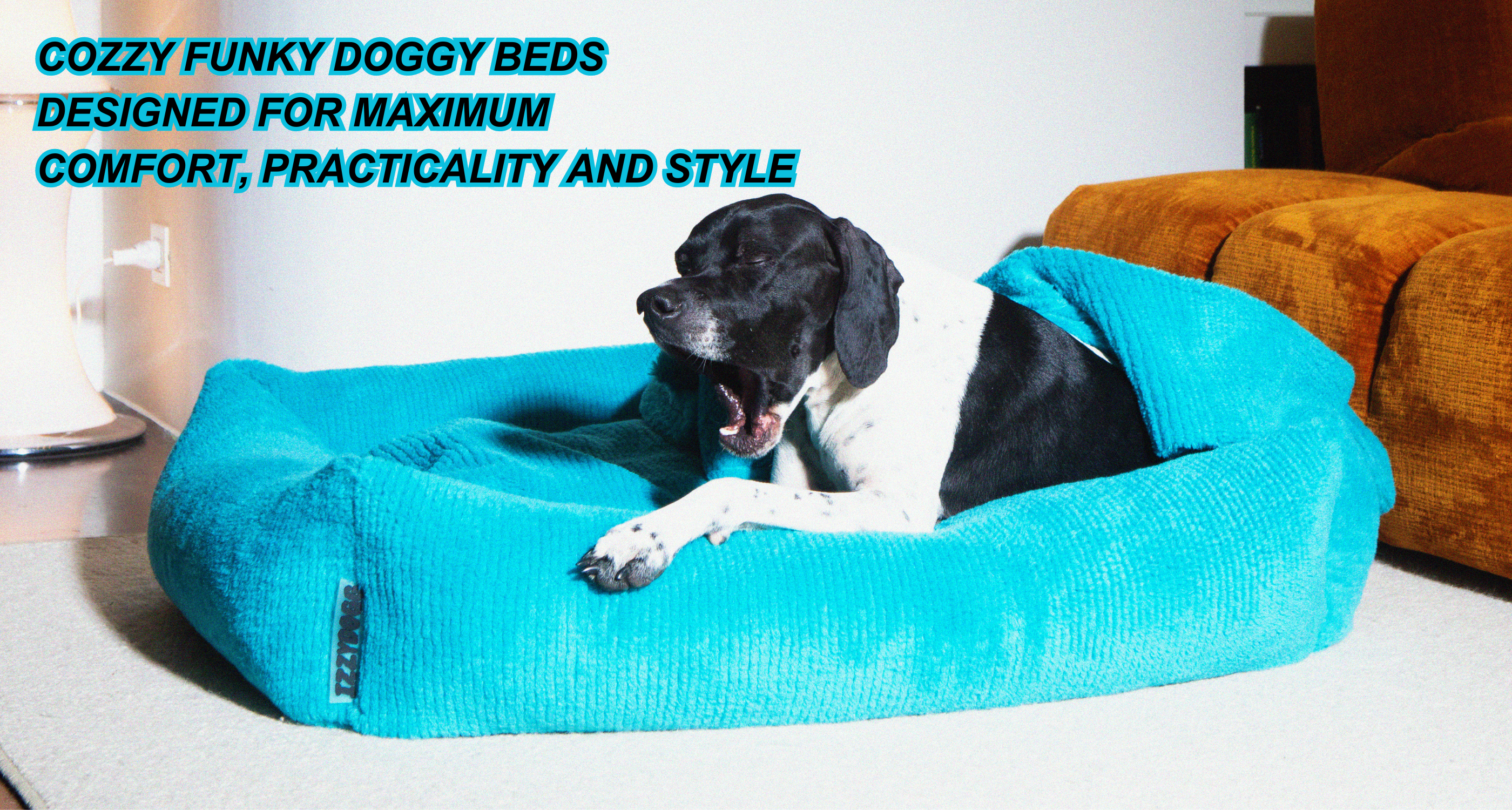 Cosy funky design dog beds