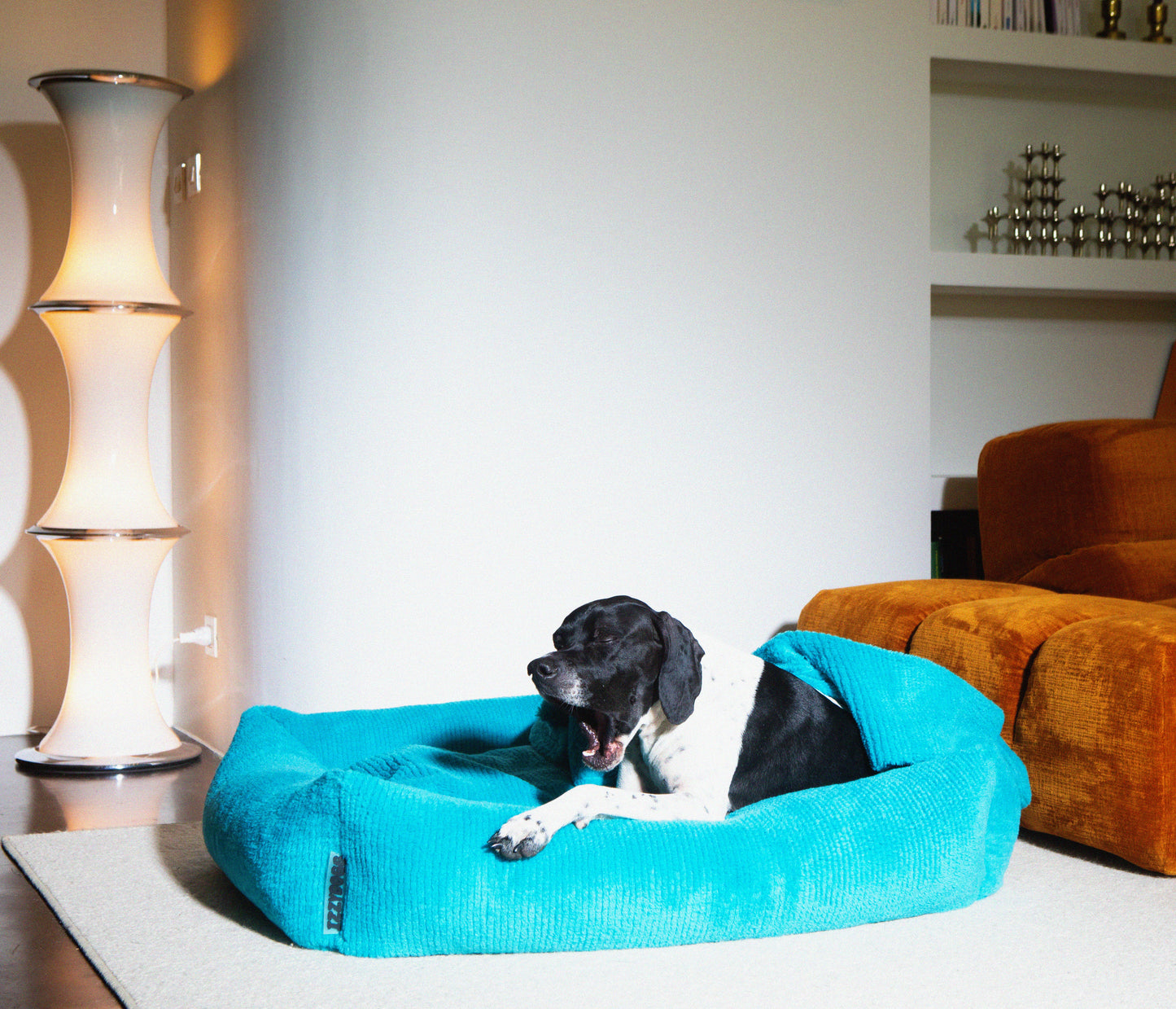 Izzydogg design dog bed with head rest in sapphire blue recycled fluffy faux fur with removable cover and high quality memory foam.