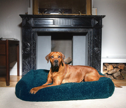 Izzydogg design dog bed with head rest in dark blue petrol recycled fluffy faux fur with removable cover and high quality memory foam.