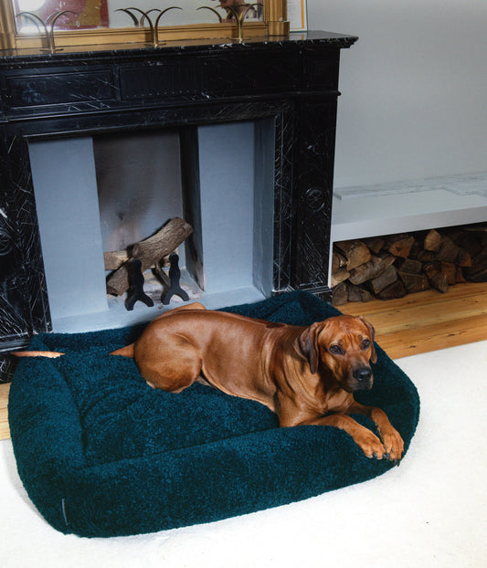 Izzydogg design dog bed with head rest in dark blue petrol recycled fluffy faux fur with removable cover and high quality memory foam.