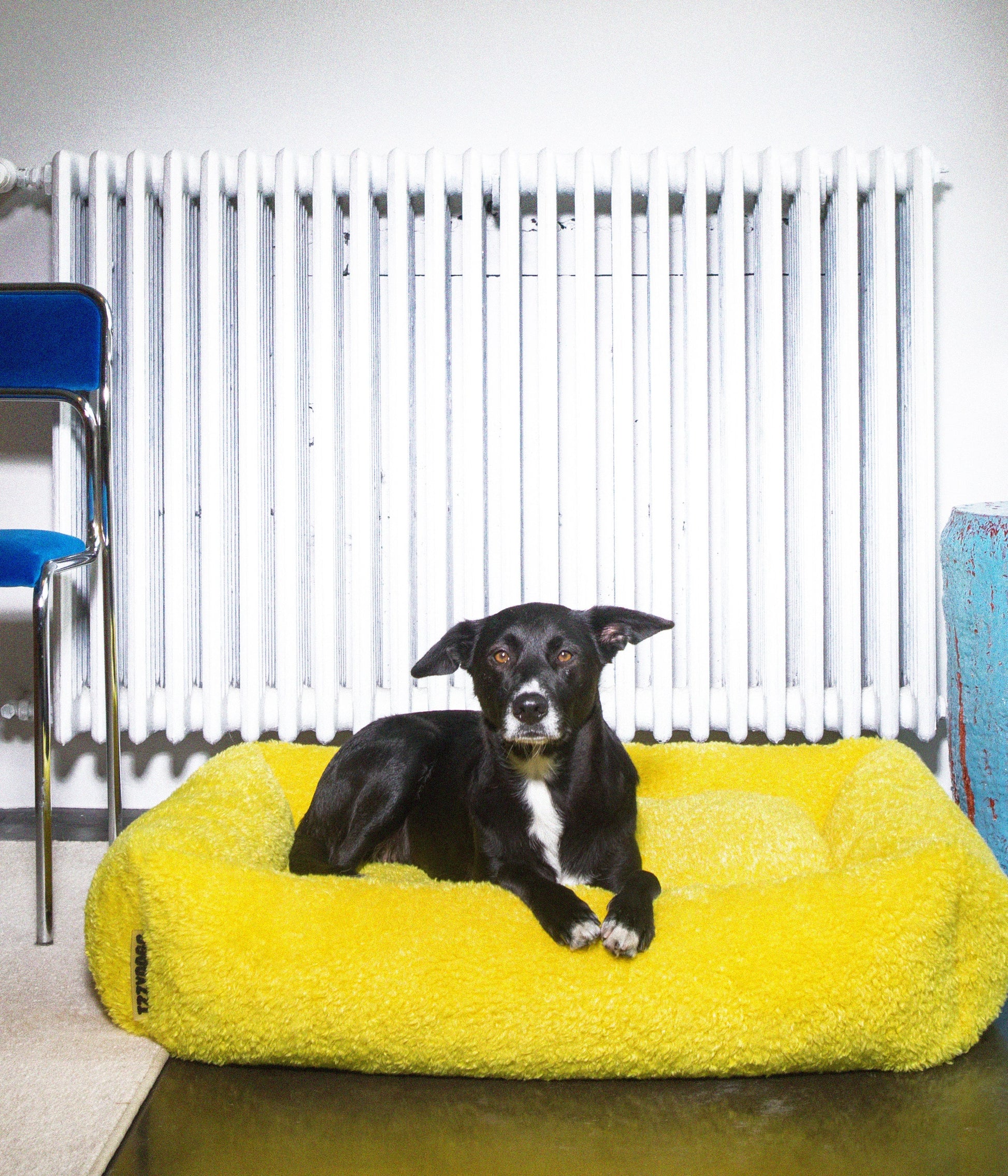 Izzydogg design dog bed with head rest in canary yellow recycled fluffy faux fur with removable cover and high quality memory foam.