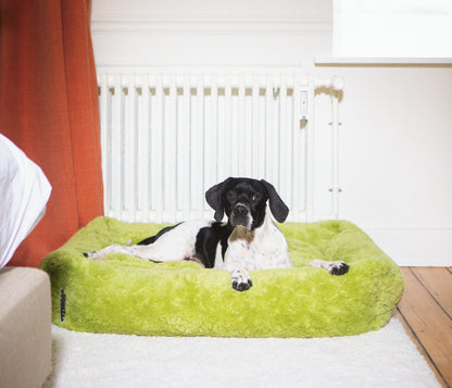 Izzydogg design dog bed with head rest in leaf green recycled fluffy faux fur with removable cover and high quality memory foam.