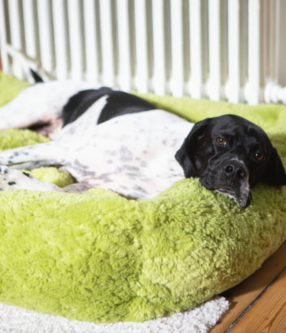 Izzydogg design dog bed with head rest in leaf green recycled fluffy faux fur with removable cover and high quality memory foam.