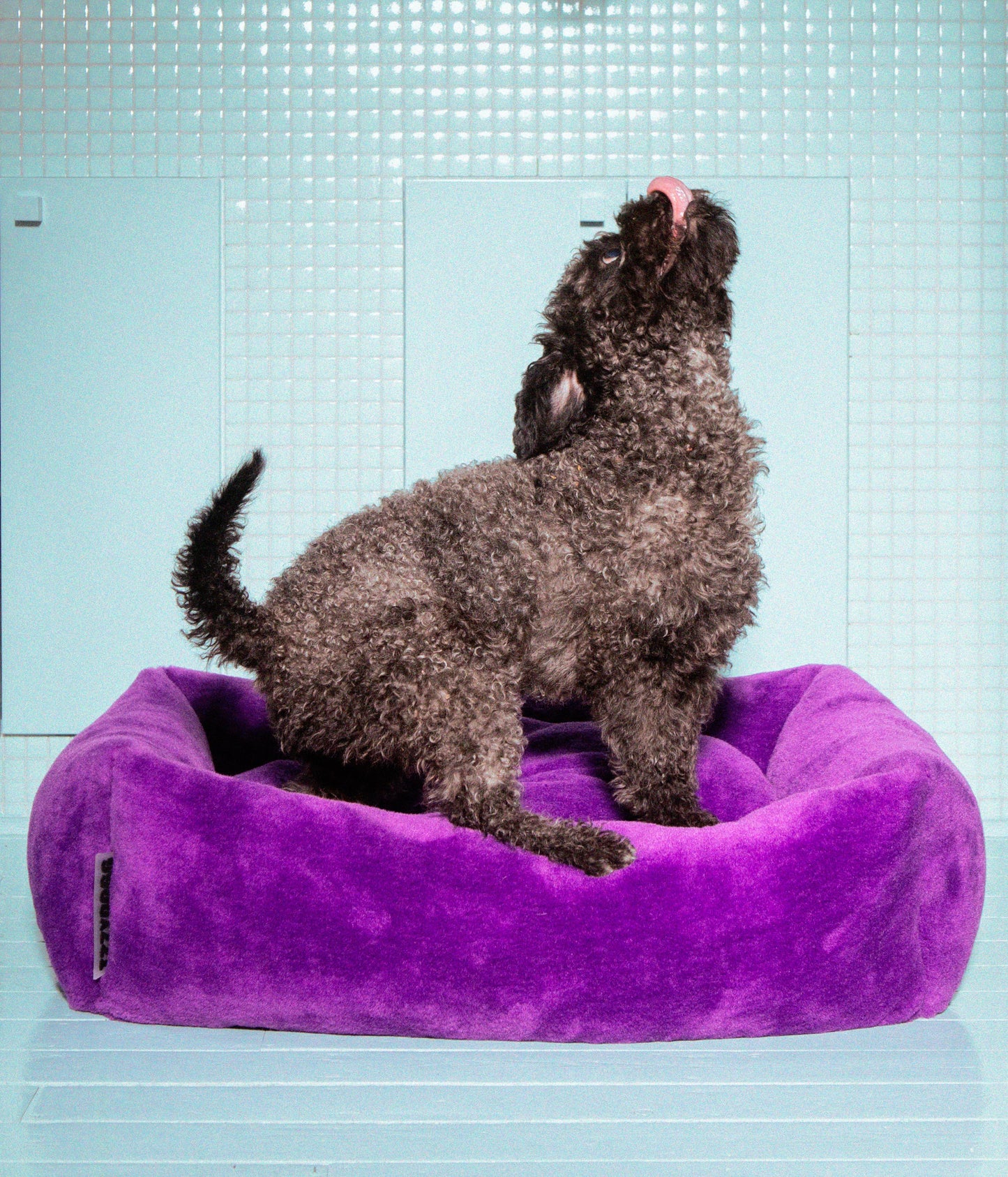 Izzydogg design dog bed with head rest in dark purple recycled fluffy faux fur with removable cover and high quality memory foam.