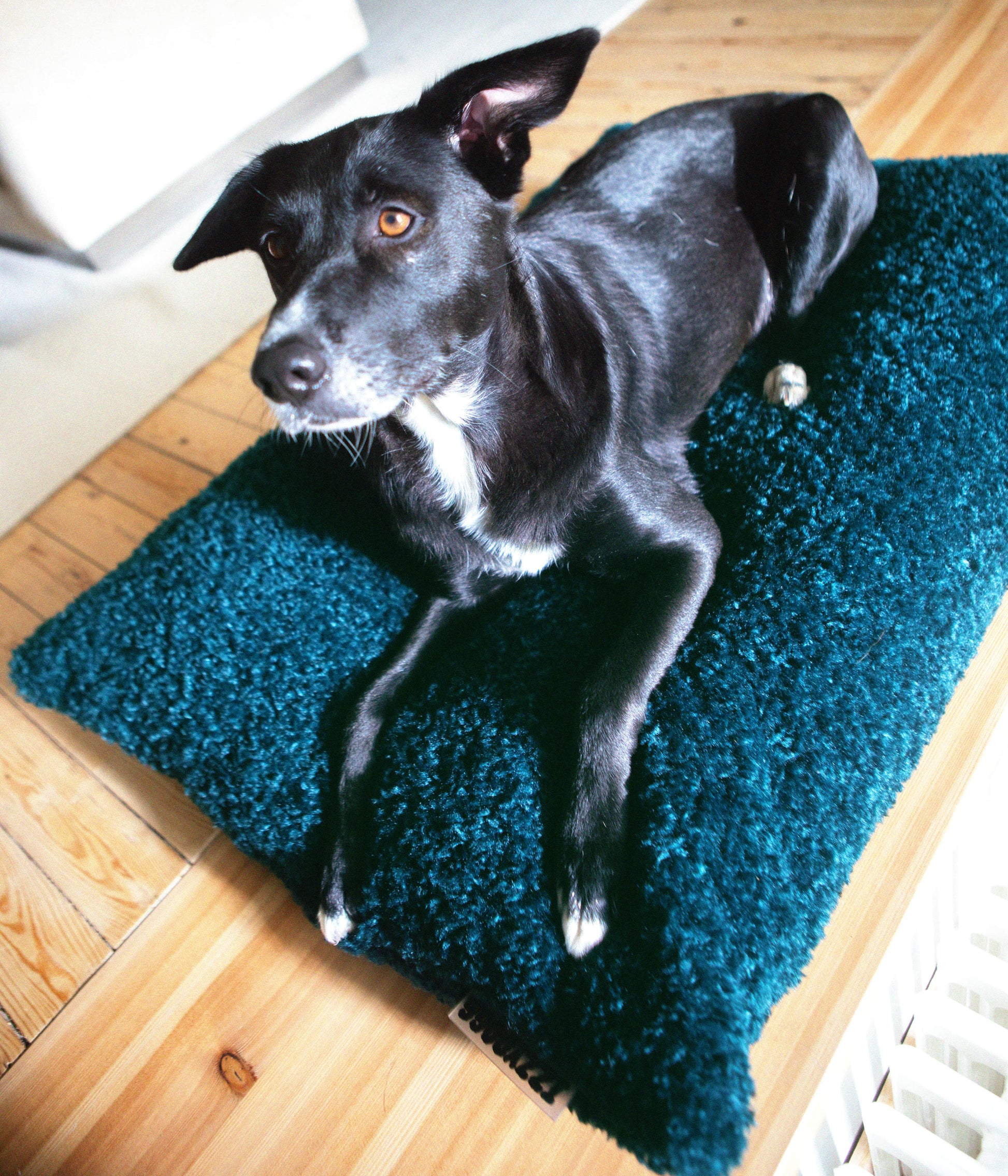 Izzydogg design dog bed cushion in dark blue petrol recycled fluffy faux fur with removable cover and high quality memory foam.