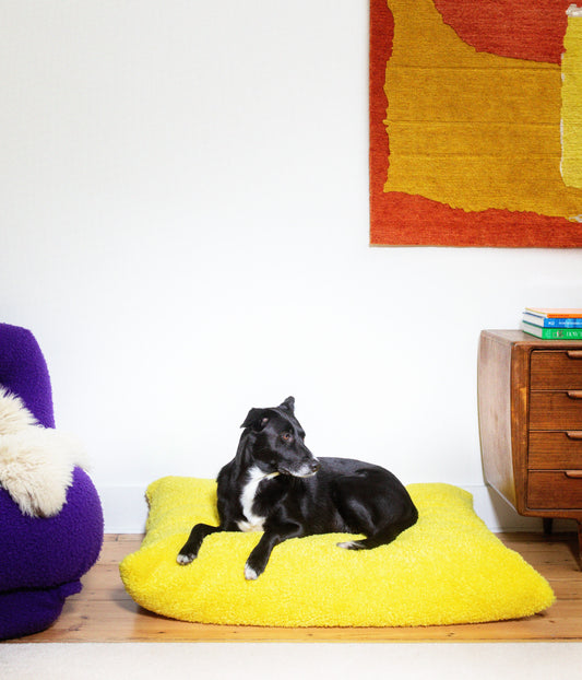 Izzydogg design dog bed cushion in canary yellow recycled fluffy faux fur with removable cover and high quality memory foam.