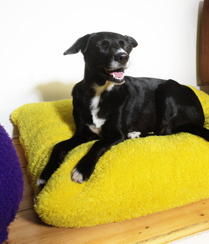 Izzydogg design dog bed cushion in canary yellow recycled fluffy faux fur with removable cover and high quality memory foam.