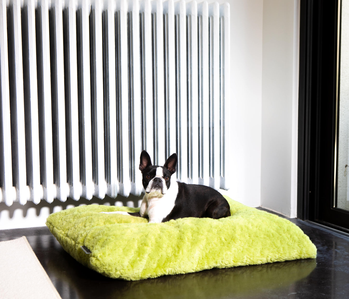 Izzydogg design dog bed cushion in leaf green recycled fluffy faux fur with removable cover and high quality memory foam.