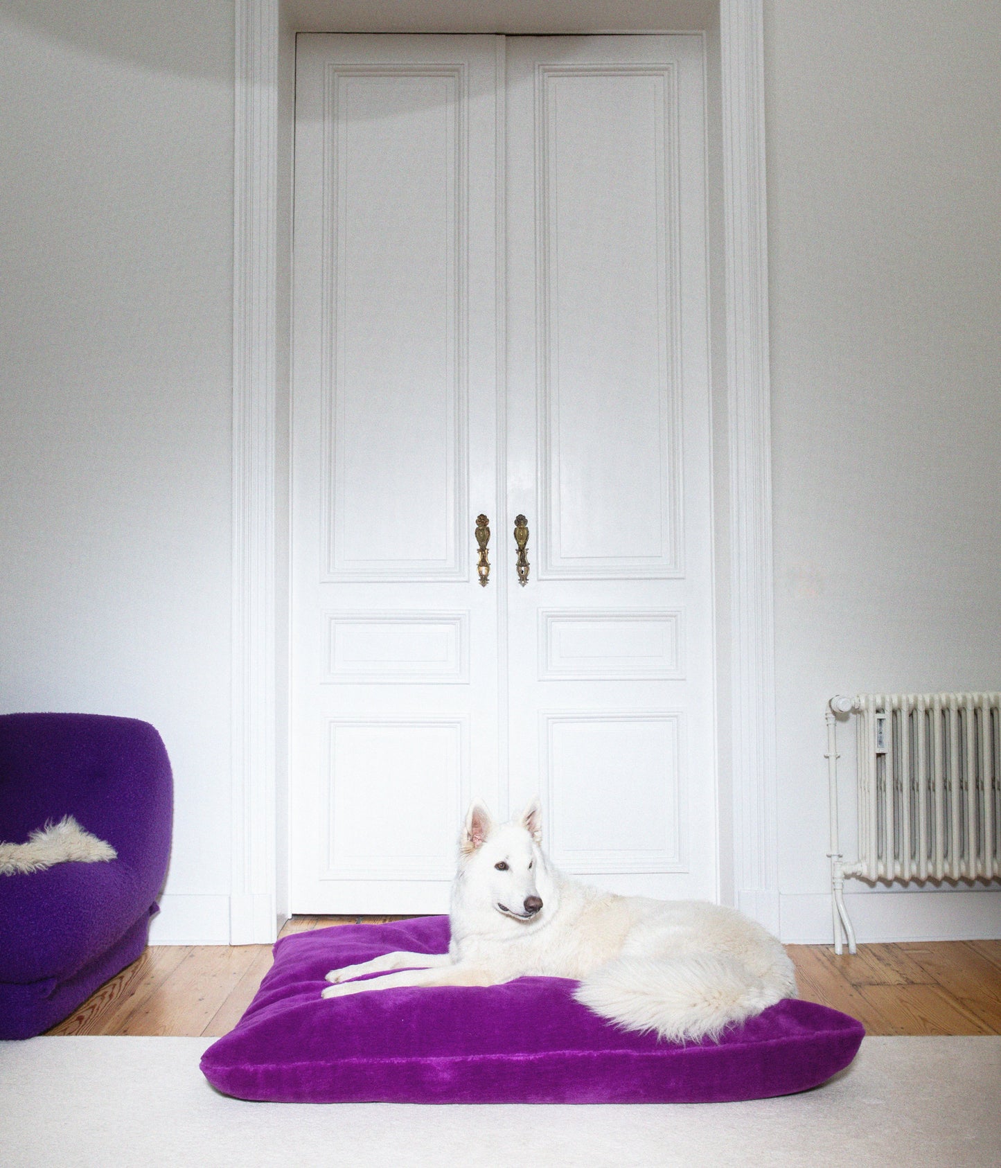 Izzydogg design dog bed cushion in dark purple recycled fluffy faux fur with removable cover and high quality memory foam.