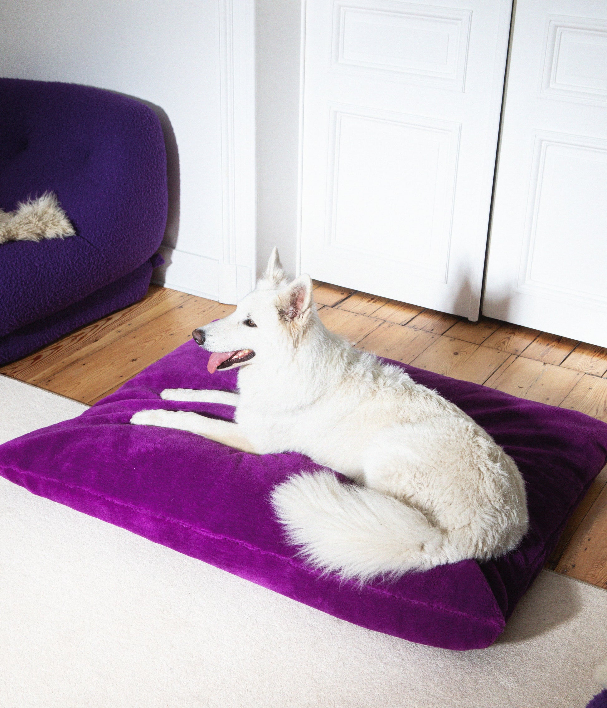 Izzydogg design dog bed cushion in dark purple recycled fluffy faux fur with removable cover and high quality memory foam.