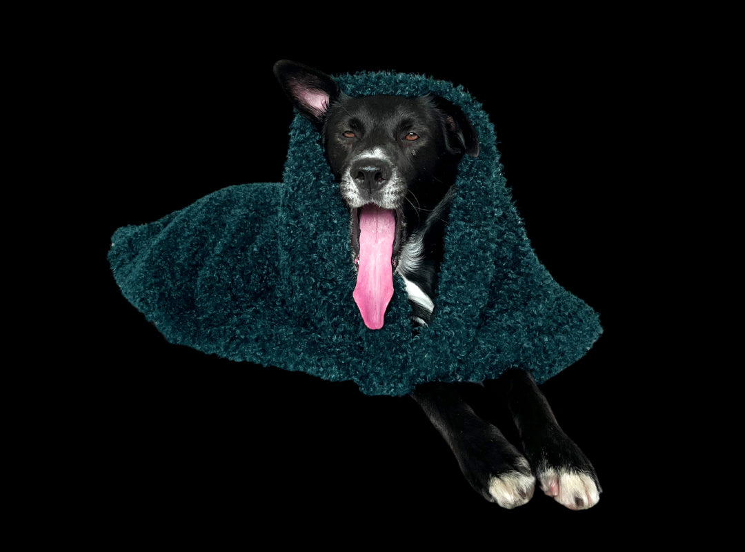 Soft Izzydogg dog blanket in dark petrol recycled faux fur, double-sided with black velvet peach skin fabric.