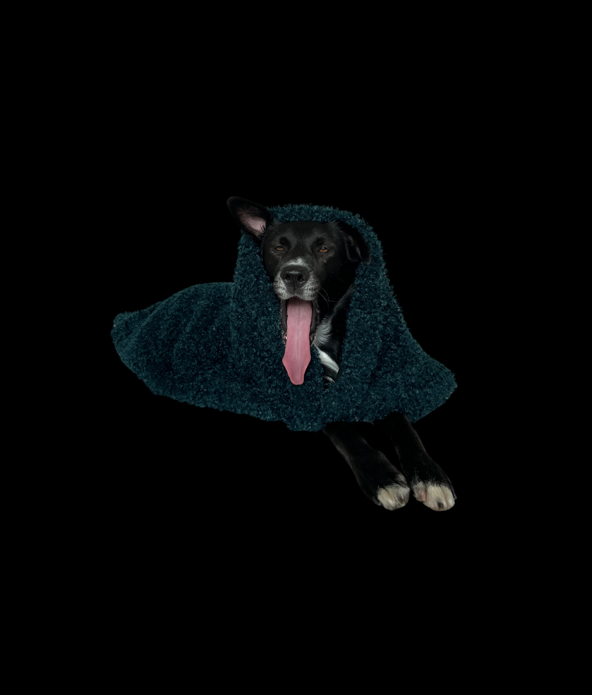 Soft Izzydogg dog blanket in dark petrol recycled faux fur, double-sided with black velvet peach skin fabric.