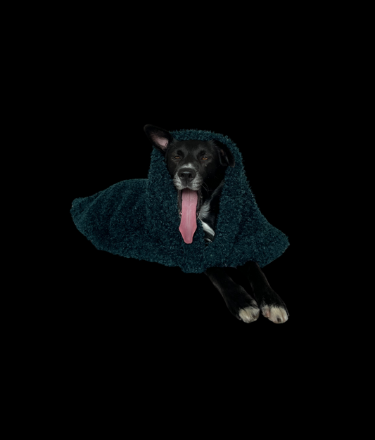 Soft Izzydogg dog blanket in dark petrol recycled faux fur, double-sided with black velvet peach skin fabric.