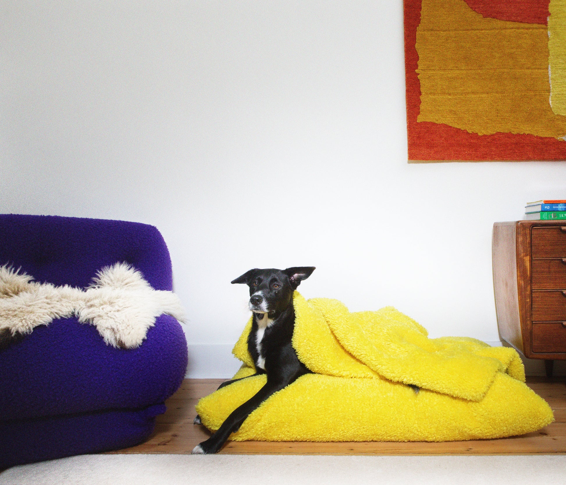 Soft Izzydogg dog blanket in canary yellow recycled faux fur, double-sided with black velvet peach skin fabric.