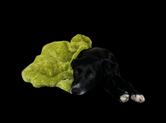 Soft Izzydogg dog blanket in leaf green recycled faux fur, double-sided with black velvet peach skin fabric.