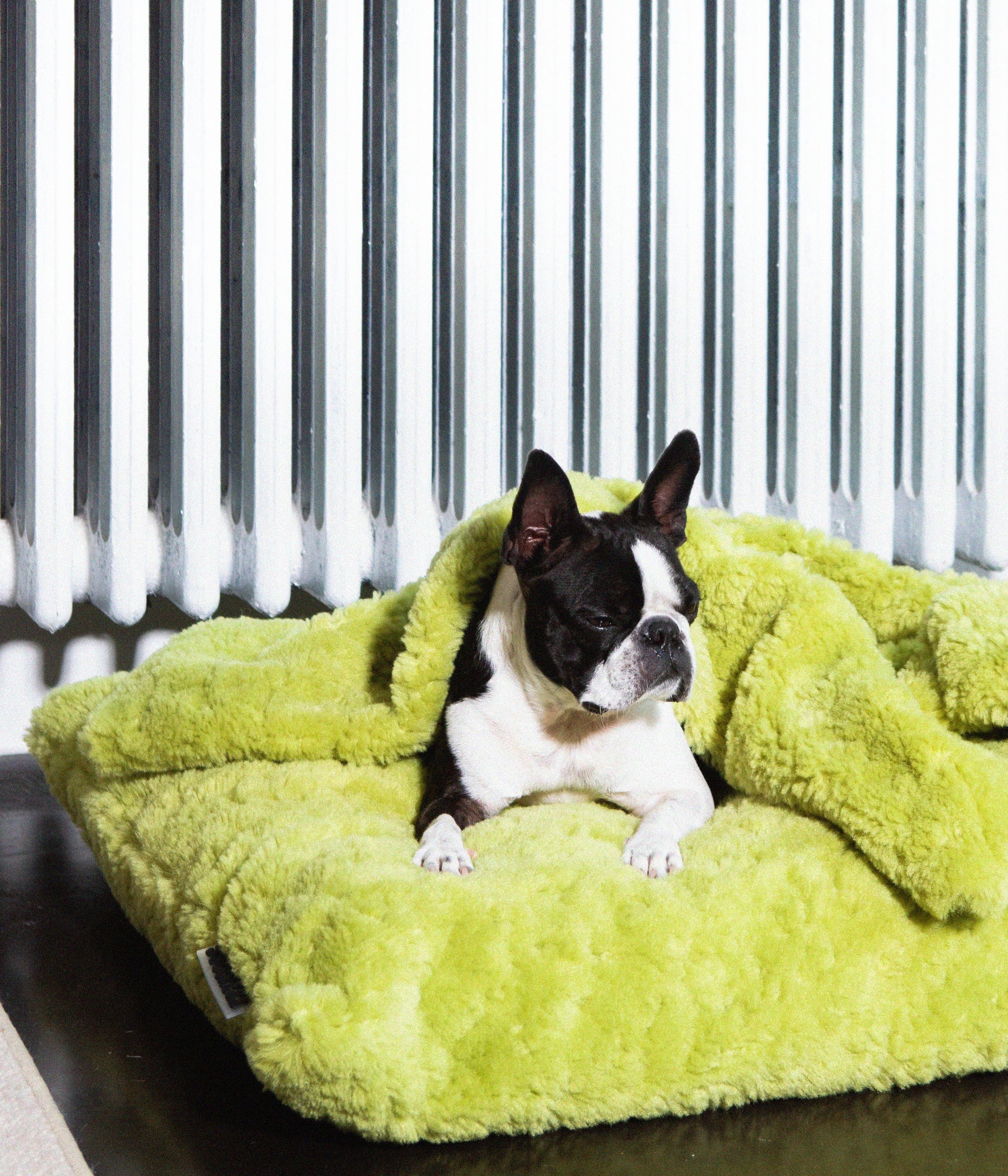 Soft Izzydogg dog blanket in leaf green recycled faux fur, double-sided with black velvet peach skin fabric.