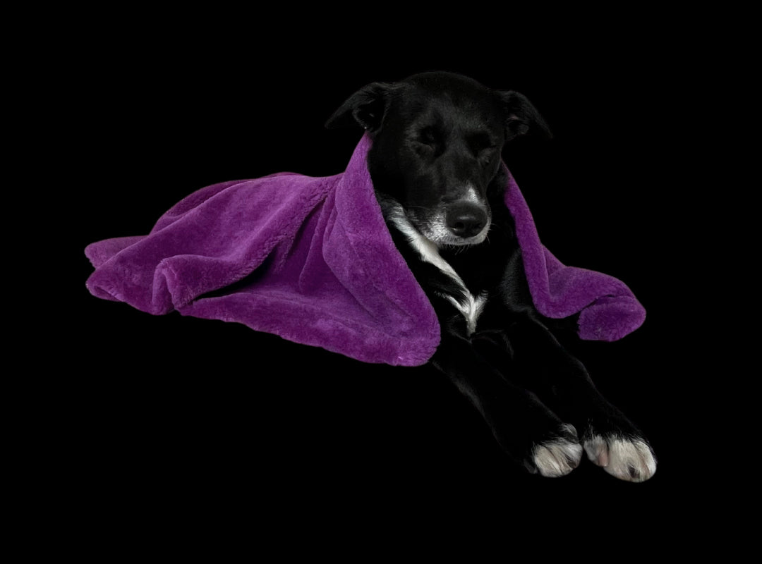 Soft Izzydogg dog blanket in dark purple recycled faux fur, double-sided with black velvet peach skin fabric.