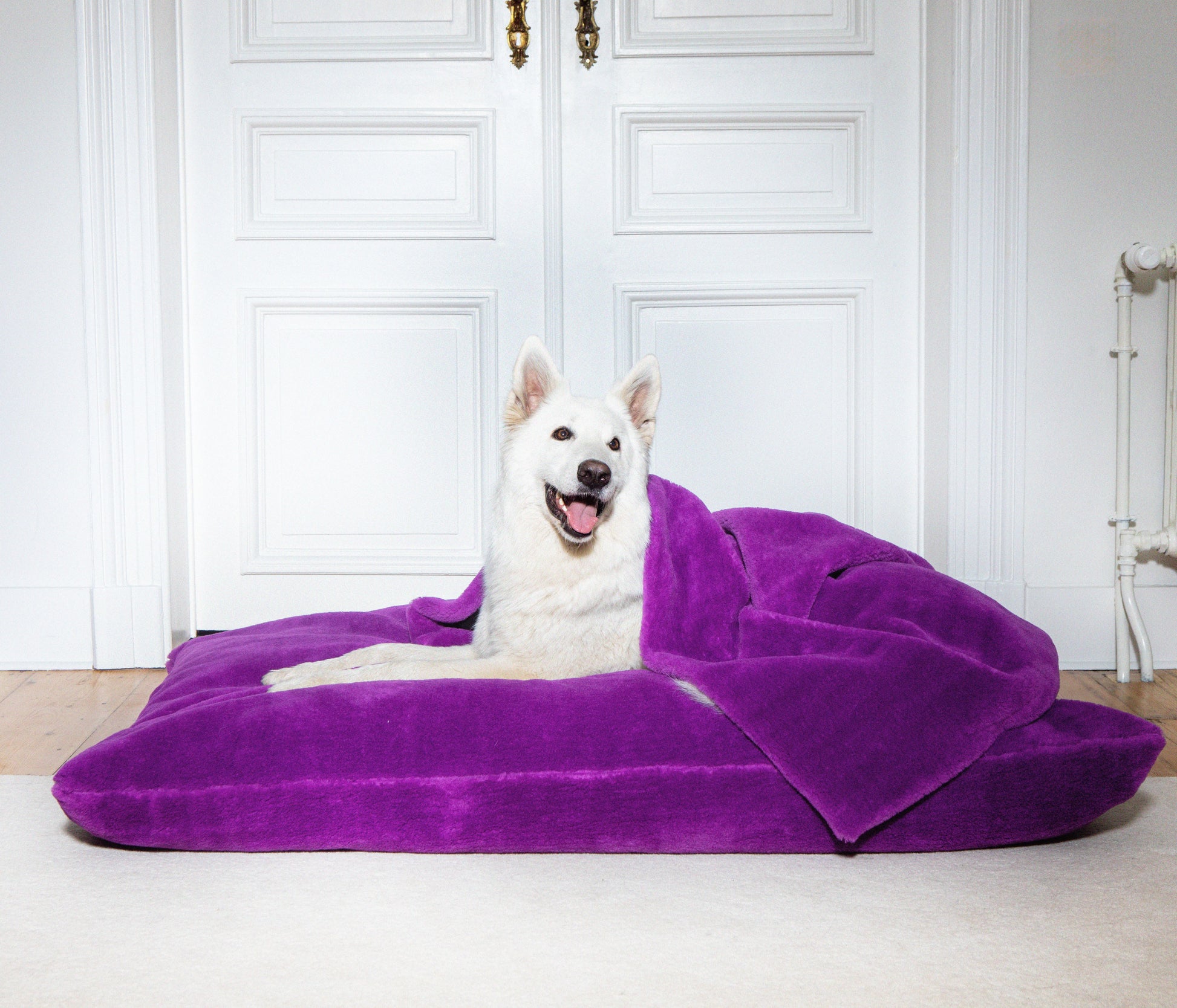 Soft Izzydogg dog blanket in dark purple recycled faux fur, double-sided with black velvet peach skin fabric.