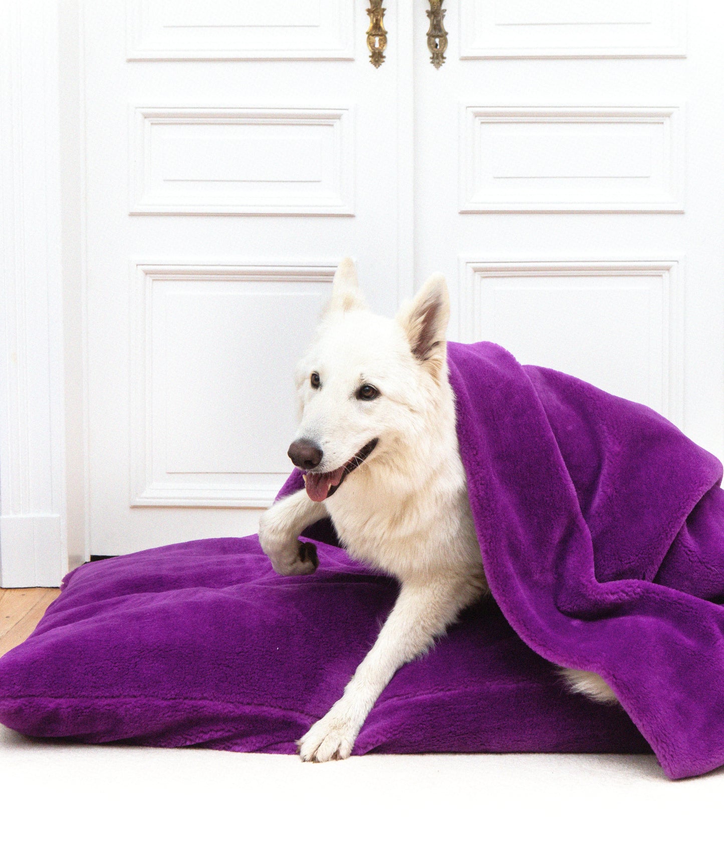 Soft Izzydogg dog blanket in dark purple recycled faux fur, double-sided with black velvet peach skin fabric.