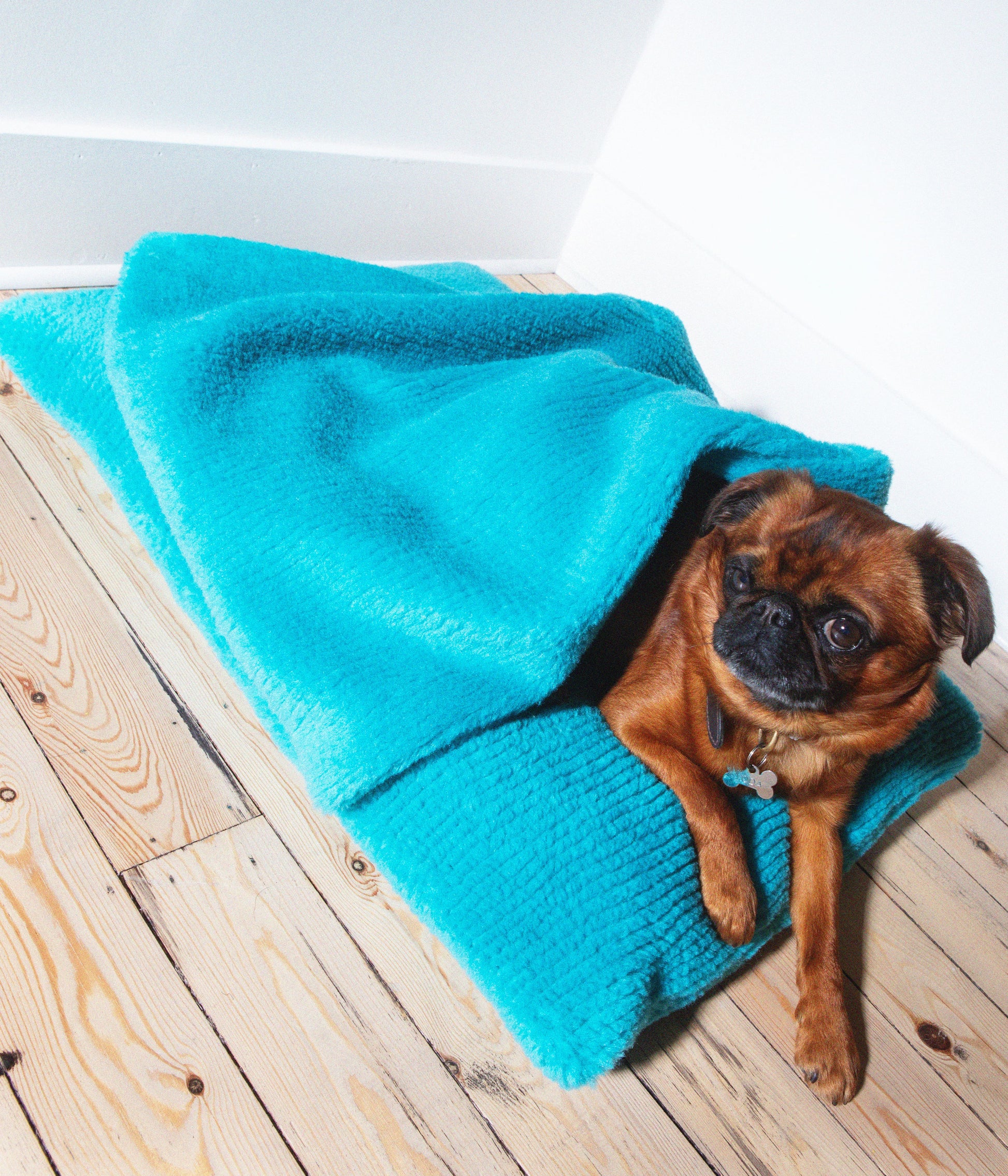 Soft Izzydogg dog blanket in sapphire blue recycled faux fur, double-sided with black velvet peach skin fabric.