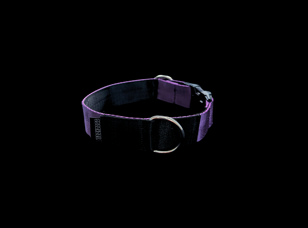 IZZYDOGG PURPLE BLACK DOG COLLAR