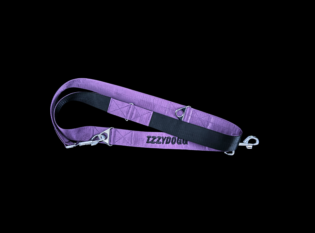 IZZYDOGG PURPLE BLACK DOG LEASH / LEAD