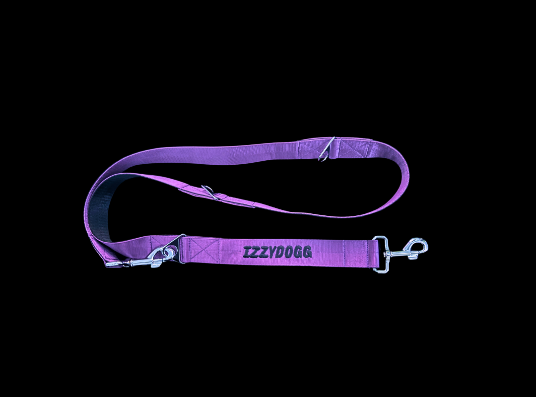 IZZYDOGG PURPLE BLACK DOG LEASH / LEAD